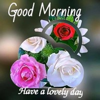 Sagar Negi