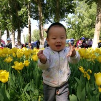 闫利辉