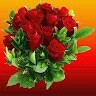 Ashiq Hussain I