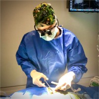 Franziska Fitz, Dvm, Dacvim (Neurology)