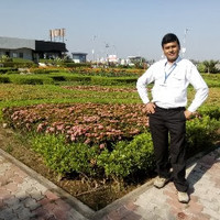 Narendra Saini