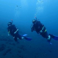 Tze Hsien Tan