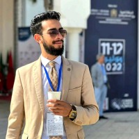 Mr. Haytham El Aouina