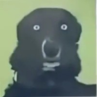 Random User