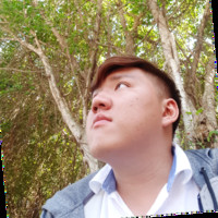 Cuong Lu