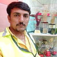 Akbari Mayur