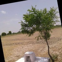 Pramod Kumar Chaturvedi