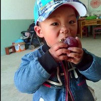 杨加平