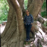 Mostafa Nouri