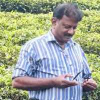 Arul Nesan