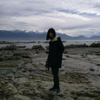 王懿君
