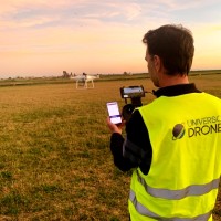 Carlos Domínguez Sepúlveda