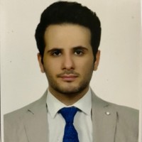 Deniz Berk Bozkurt