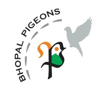 Bhopal Pigeons