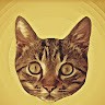 Crypto Cat