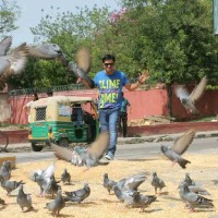 Mohit siwal
