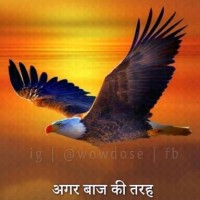 Aman Sing