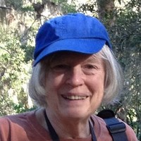 Carol Mullins