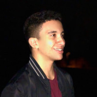 Ahmed Abdel Hafez