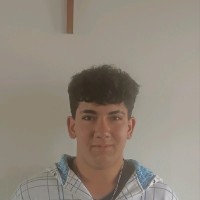Nicolas Aedo Mandujano