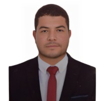 AHMED GABER (PMI-PMP)