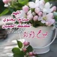 Ahmed Eyad