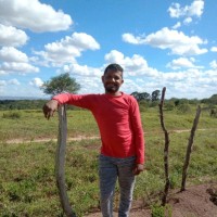 Edson José da silva José