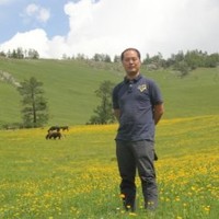 刘泽元
