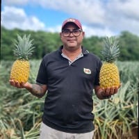 Jose Elias Coronado Coronado