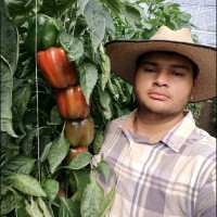 Edmundo Madrigal Castro