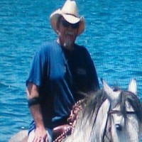 tim hoak