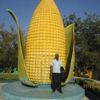 Govindappa Arumugam