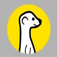 Meerkat Alternative
