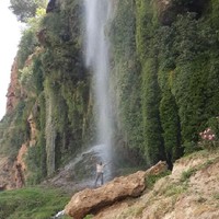 Driss Guessous