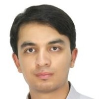hamed rafiee