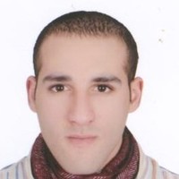 Essam Aly