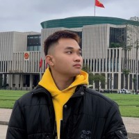 Hoang Nguyen Viet