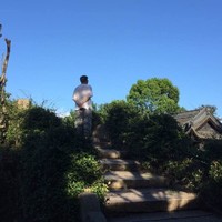 马伟雄