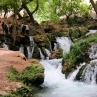 Gholamali Pasandideh