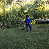 Luis D Rivera