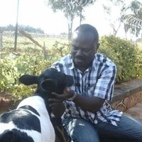 Kagumya Steven