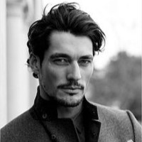 Brad Palmer