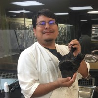 Robert Morales