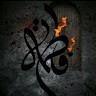 سيد تحسين الشبلاوي