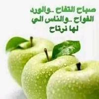 عادل موسي