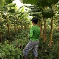 Duamed Colón Carrión