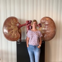 Willemiek Verbeek