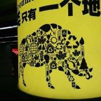 何金周