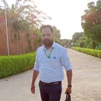 Ajay Pareek