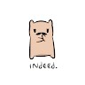 indeed undefined